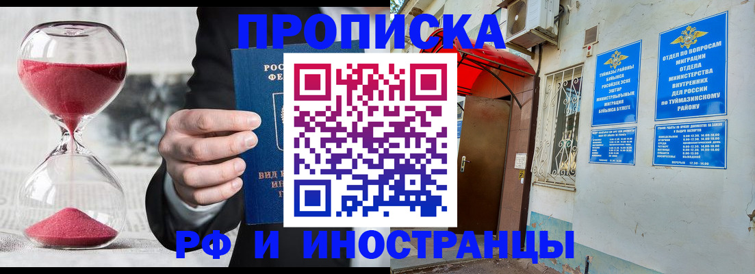 прописка 2025 в Судогде